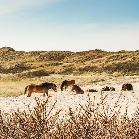 Nyaraló Vakantiewoning 't Juttershuis Egmond aan Zee